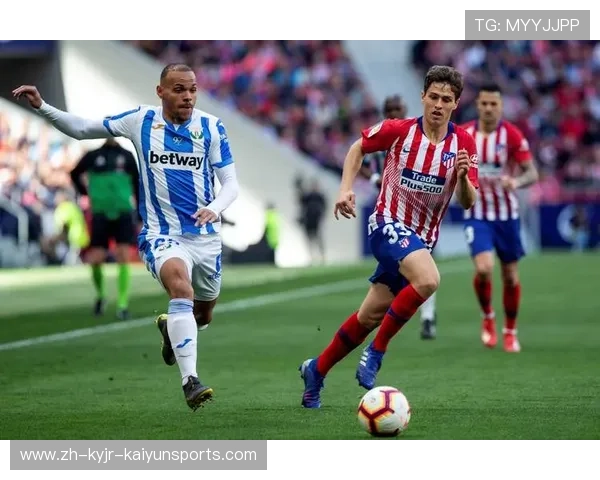 西甲联赛的商业价值分析与未来发展趋势 西甲联赛的商业价值分析与未来发展趋势