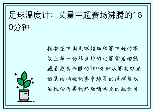 足球温度计：丈量中超赛场沸腾的160分钟